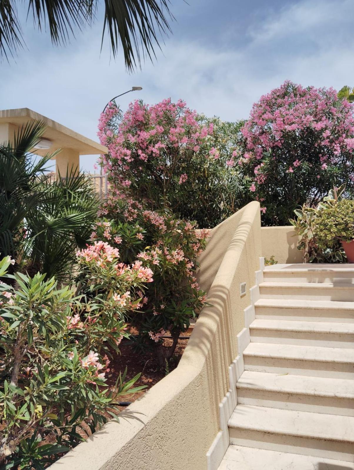 Raggi Di Sole Bed & Breakfast Custonaci Ngoại thất bức ảnh